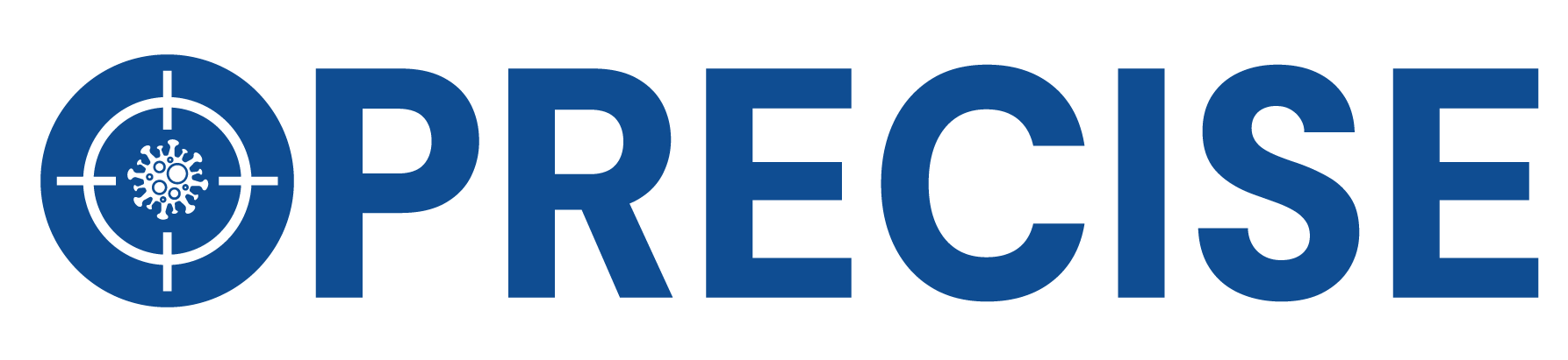 Precise Logo