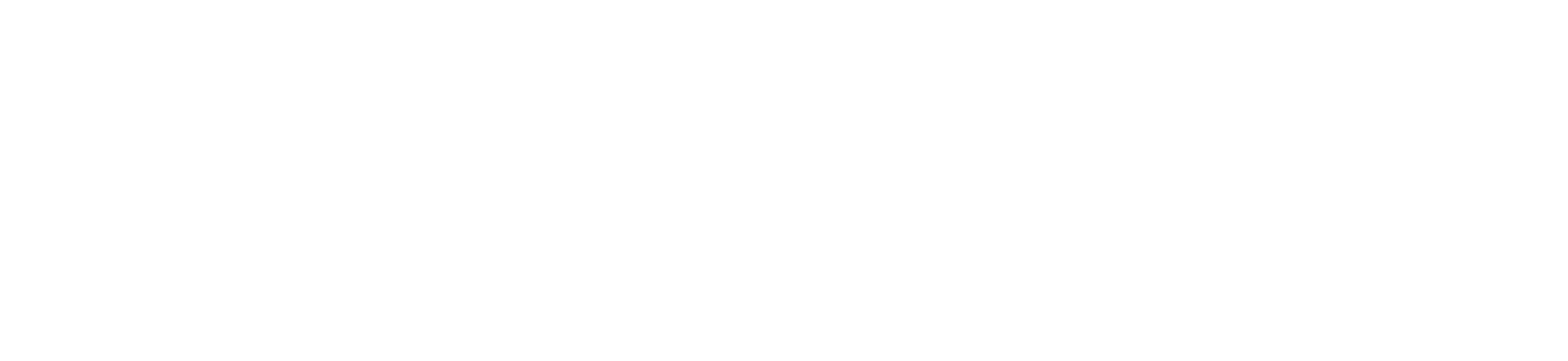 PRECISE logo white
